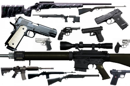 Image result for Images of firearms